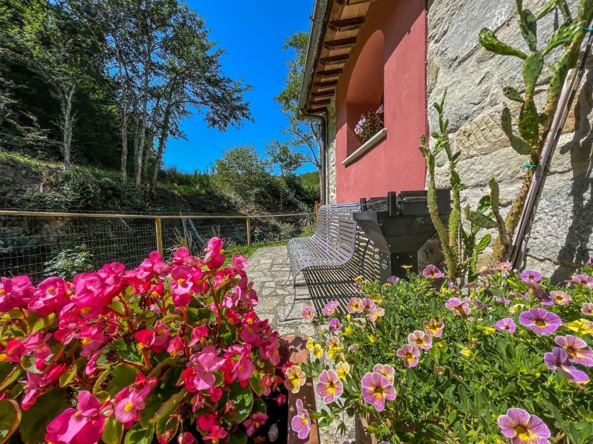 Mulino Di Rimaggio - Antico Mulino In Toscana Cavriglia Luaran gambar